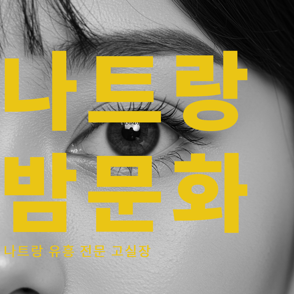 나트랑 밤문화 완전 정복! 유흥 전문가 고실장의 선택은?