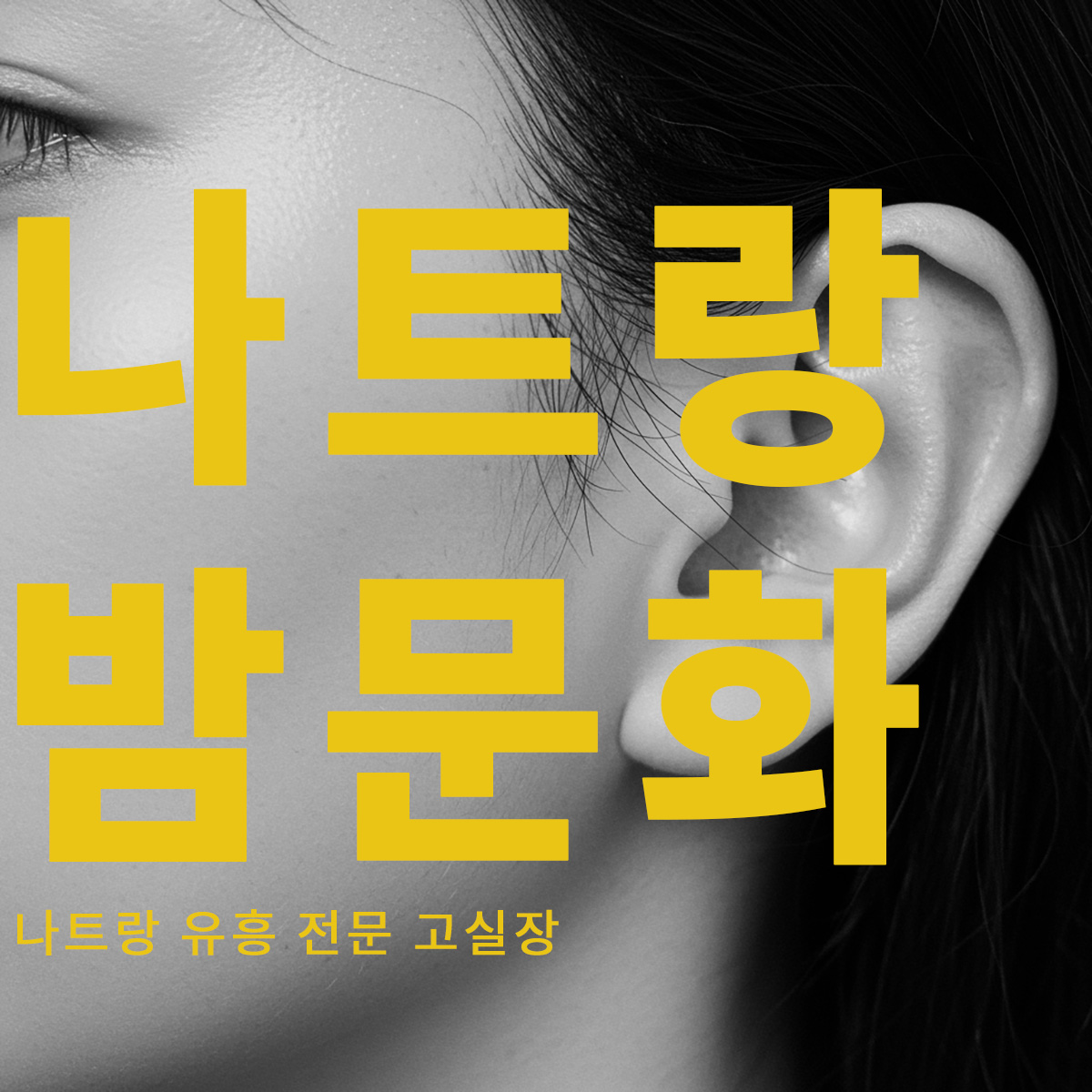 이런 분들께 추천 합니다