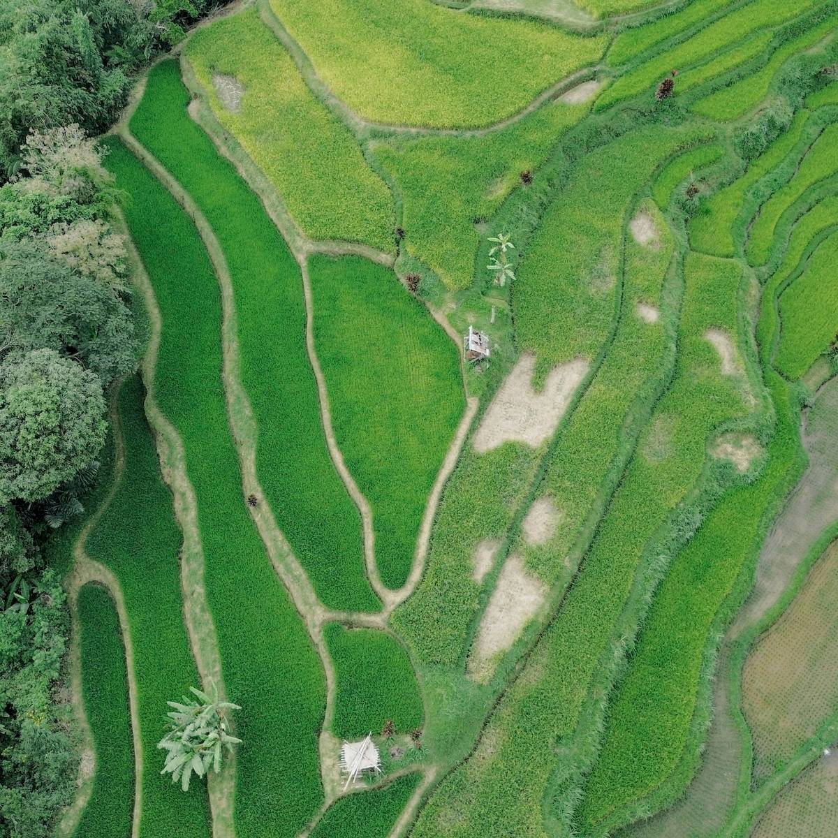 다낭-골프-2 사진